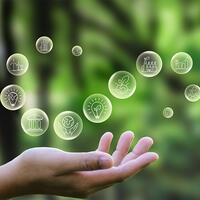 Approach to Governance & Sustainability
