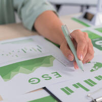 ESG Governance